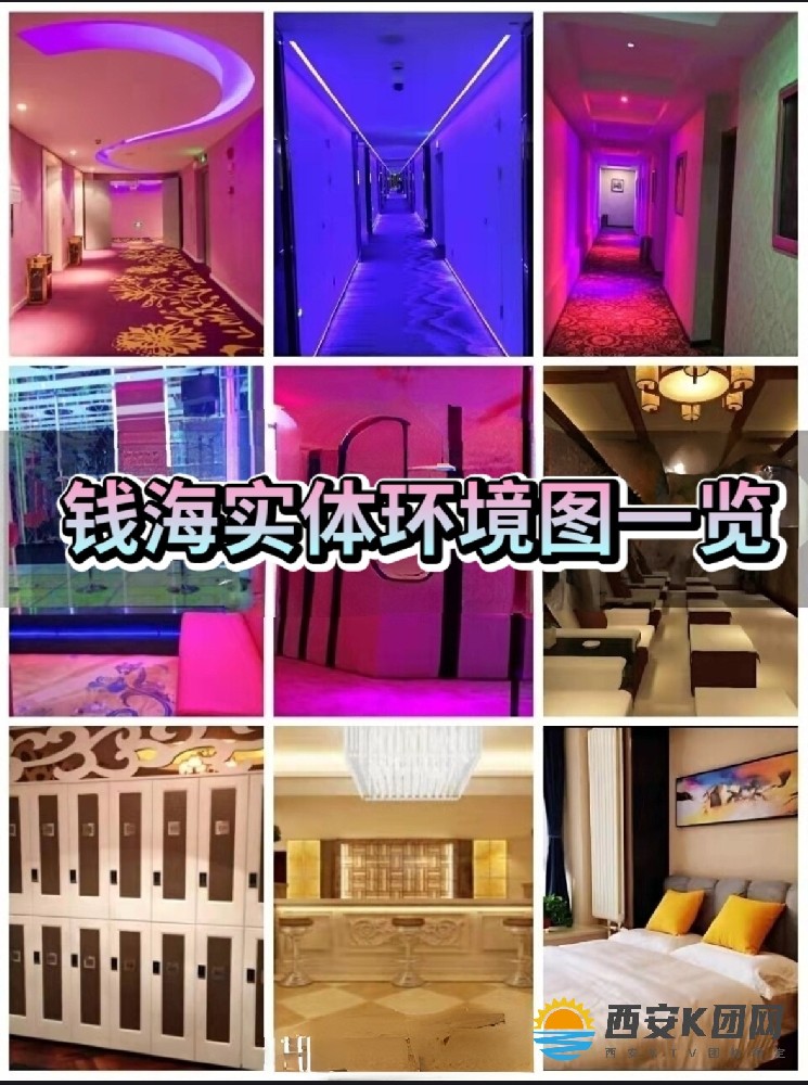 西安南郊高新【钱海】实体T台大选