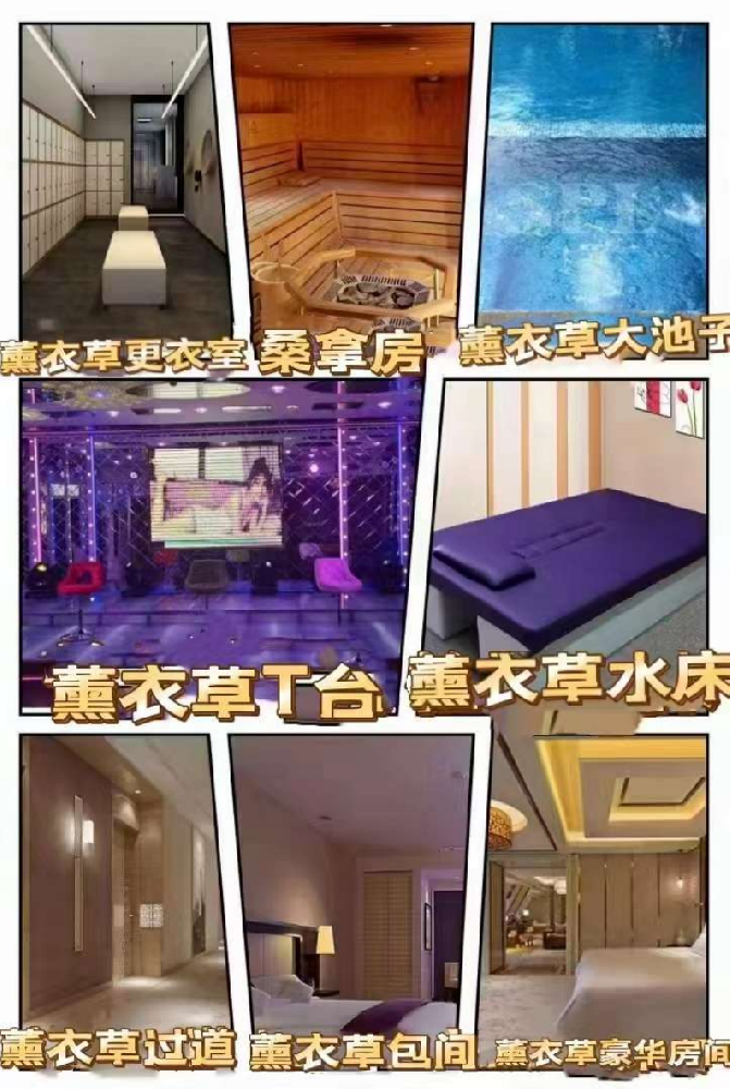 北郊高端北二环（薰衣草）