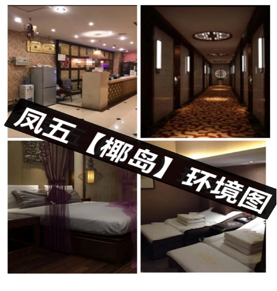北郊低端【椰岛】298起步