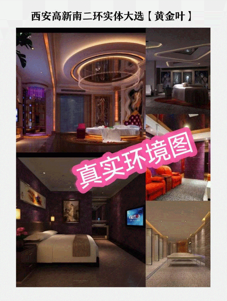 高新口碑低端【水金林】原黄金叶/金牛座